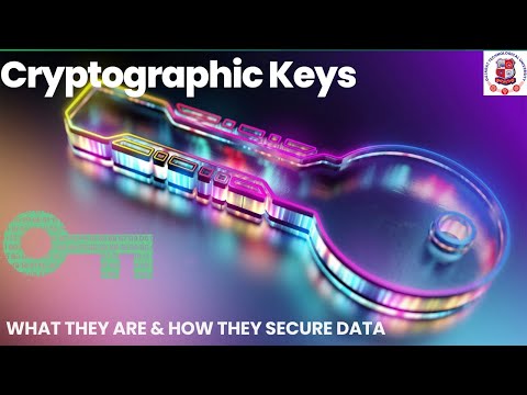 Sophia Deso Leak: The Importance Of Data Encryption