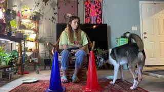 Lesson 4, Exercise 3, Shape a New Trick (Movement Puzzle) Part 1