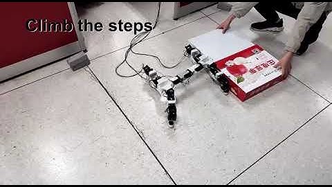 A Novel Locomotion Controller Based on Coordination Between Leg and Spine for a Quadruped Salamander
