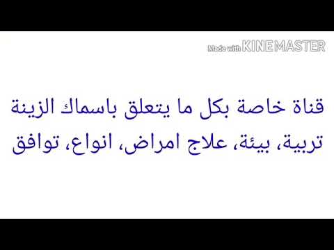 فيديو: اضطرابات العين الشائعة في الأسماك