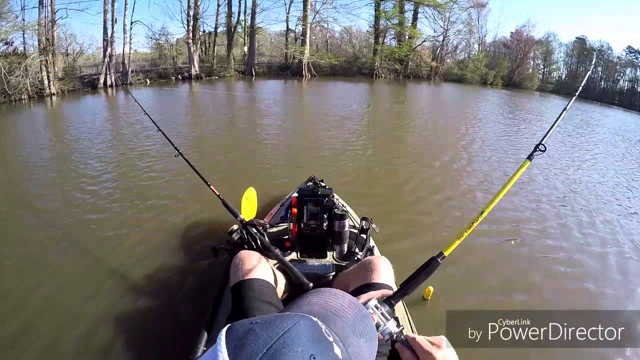 Stumpy Lake Virginia Beach Fishing Stumpy Lake Virginia Beach Fishing