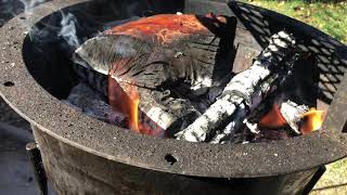 Santa Maria Tri-Tip for Thanksgiving
