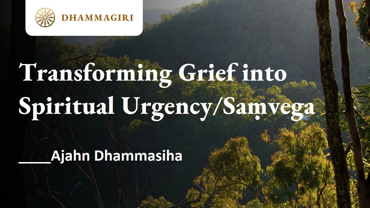 Sun. 17. Aug. 12PM - Dhamma Talk and Discussion – Live at Dhammagiri with Ajahn Dhammasiha