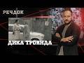 ДИКА ТРОЯНДА РЕЧДОК українською детектив2026