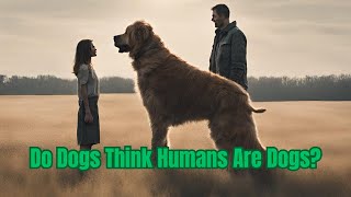 Do Dogs Think Humans Are Dogs?DDK PET SHOP