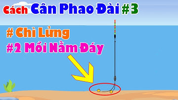 👉Hướng Dẫn Cách Cân Phao Câu Đài Chì Lửng, Hai Mồi Nằm Đáy 🎣 Cách Canh Phao Câu Đài #3