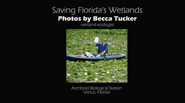 Florida Wetlands Slideshow