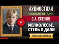 МЕЛКОЛЕСЬЕ, СТЕПЬ И ДАЛИ.. ЕСЕНИН С.А. аудиостих, слушать #стихи классиков, красивый #стих