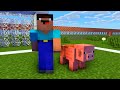 Monster School || Minecraft