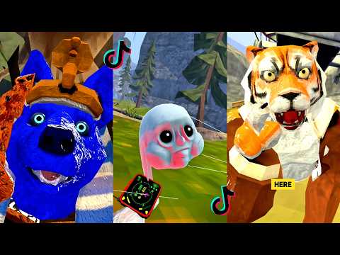 Animal Company 💯🌌 GALAXY Compilation