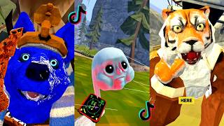 Animal Company 💯🌌 GALAXY Compilation