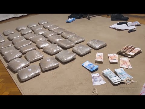 Полицейские изъяли из незаконного оборота около 17 килограммов наркотиков