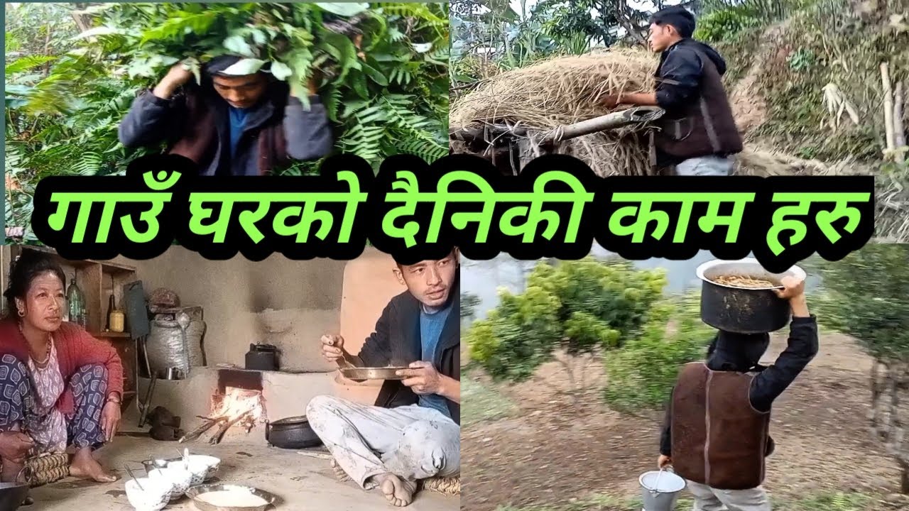 बिहन देखिको दैनी कि यसरी बित्तछ गाउँ घरमा village life in Nepal 