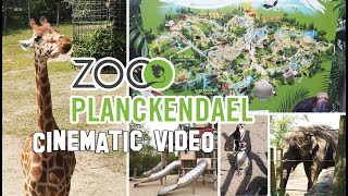 ZOO PLANCKENDAEL  CINEMATIC VIDEO  VLOG #50