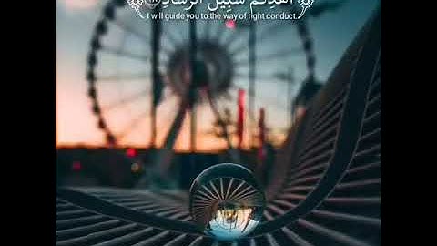 وقال الذي أمن يا قوم اتبعون اهدكم سبيل الرشاد || تلاوة هادية جدا