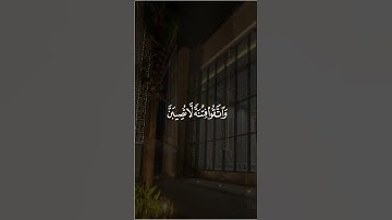 القارئ / عبدالرحمن الماجد