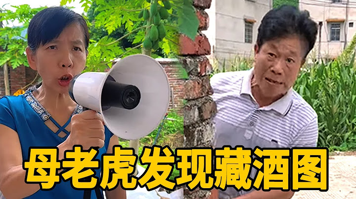 老头把酒藏在沙发里，用调虎离山拖住母老虎，没想到又露馅了！【李叮长】