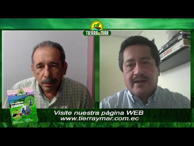 Entrevista al Dr.  Willy González-Gerente JW Asociados