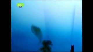 Et1 - Tv Ident 2011, Greek National Tv