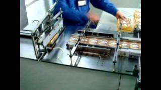 Semi Automatic Overwrapping Machine