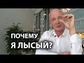 ПОЧЕМУ Я ЛЫСЫЙ?