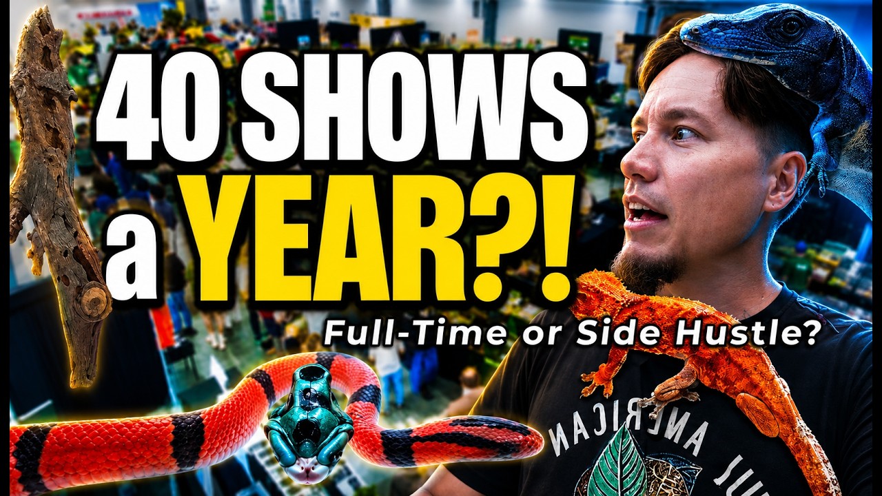 Snake Sale Display Inside a Reptile Expo: What Vendors ACTUALLY Do for a Living - YouTube