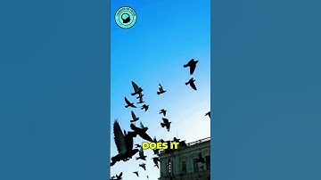 Breaking UTOPIA/ Technology