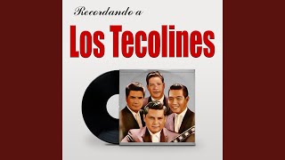 Video thumbnail of "Los Tecolines - Dejame Quererte"