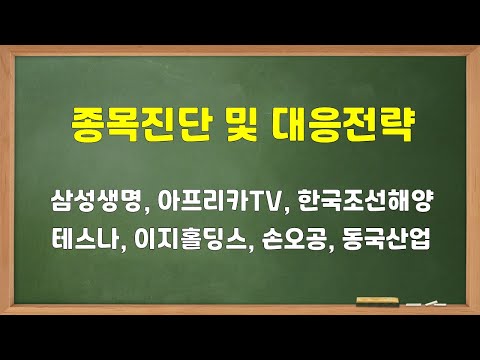 Update New 주식투자 삼성생명 등 7개 종목진단 및 대응전략(삼성생명, 아프리카TV, 한국조선해양, 테스나, 이지홀딩스, 손오공, 동국산업)
