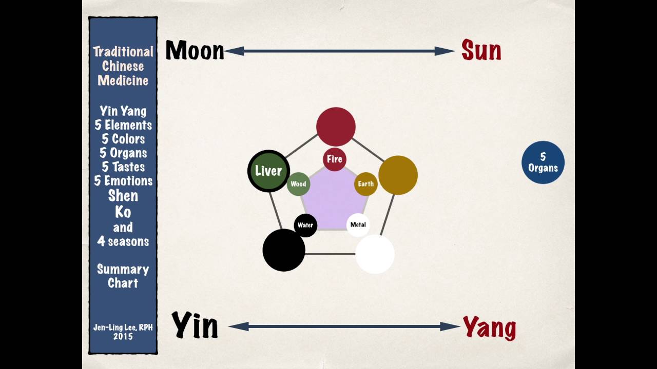 Basic theory of Traditional Chinese Medicine Part 1 中醫陰陽五行基本理論 1 - YouTube