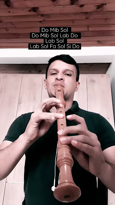 No parece, pero en realidad estaba Tocando, FLAUTA DULCE Fácil #flautadulce #flautadepico