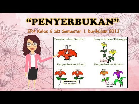 Perkembangbiakan Tumbuhan Generatif | Penyerbukan | IPA Kelas 6 SD | Tema 1 | Bagian 2