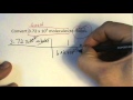 Mole Conversion and Scientific Notation
