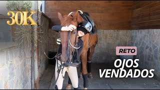 Preparo  mi caballo con los ojos vendados  🤯 | Reto 30.000 suscriptores