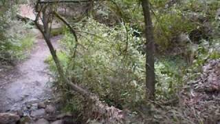 Temescal Canyon in Pacific Palisades, California, Skull Rock with rattlesnake on trail