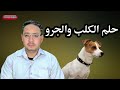حلم رؤية الكب والجرو ونباح الكلب ورؤية كلب مريض وموت الكلب وعضة الكلب وشراء كلب 