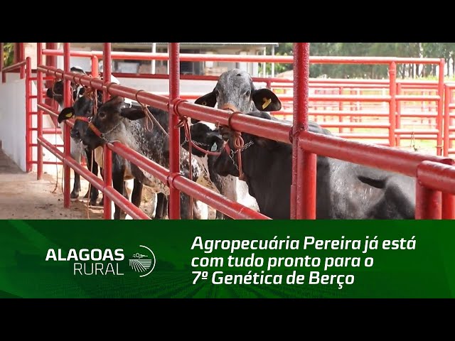 Agropecuária Pereira já está com tudo pronto para o 7º Genética de Berço