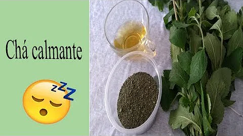 Como secar folhas de erva cidreira para chá?