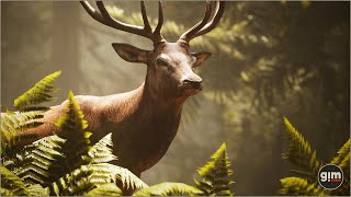 Red Deer animation preview