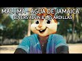 Maluma - Agua de Jamaica (Cover) / Covers Alvin &amp; Las Ardillas