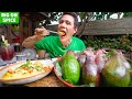 Thailand’s UNIQUE Avocado Red Curry!! Delicious + Healthy Thai Food in Chiang Mai!!