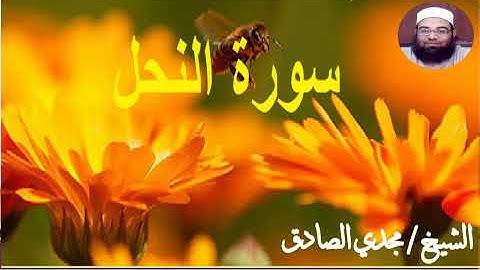 ما تيسر من سورة النحل | الشيخ / مجدي الصادق