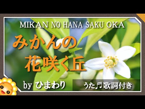 みかんの花咲く丘 Byひまわり みかんの花が咲いている 歌詞付き 童謡 Mikan No Hana Saku Oka Youtube