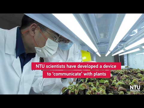 NTU Singapore scientists develop device to 'communicate' with plants