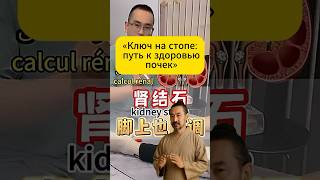 «Точка почек: глубинное очищение и лёгкость» #здоровье