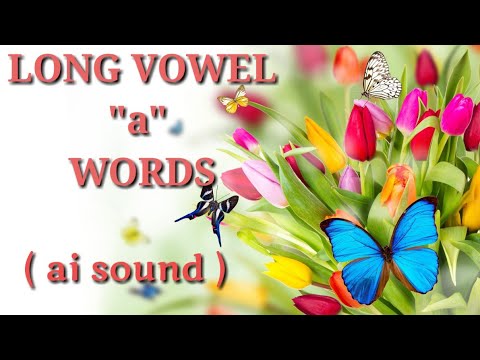 Long Vowel a WORDS - ai Word List Learning Ideas Channel by Learning Ideas Channel