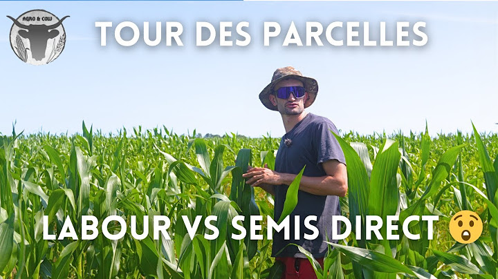 TOUR des PARCELLES (LABOUR VS SEMIS DIRECT)