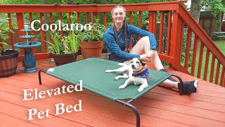 Coolaroo Elevated Pet Bed🌞Dog Cooling Cot Review 👈 by Urban Ervin 1,513 views 1 year ago 5 minutes, 54 seconds