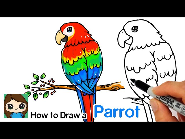 How to draw a parrot | Parrot drawing | Parrot painting | Easy drawing f...  | Parrot drawing, Easy drawings, Easy drawings for kids