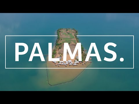 PALMAS, TO | 2 dias na capital mais NOVA do BRASIL